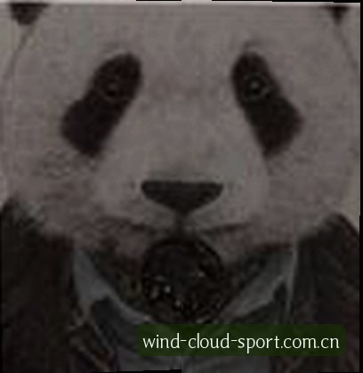 郑丽